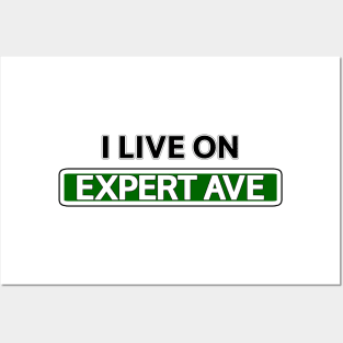 I live on Expert Ave Posters and Art